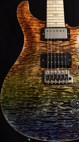 Paul Reed Smith Wood Library Artist Custom 24 Brian's Guitars 10th Anniversary Limited Zombie Fade