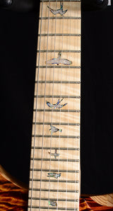 Paul Reed Smith Wood Library Artist Custom 24 Brian's Guitars 10th Anniversary Limited Zombie Fade