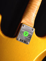 Fender Custom Shop 1965 Stratocaster Lush Closet Classic NAMM 2019 Limited Frost Gold-Brian's Guitars