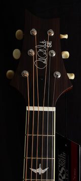 Paul Reed Smith SE Tonare P20 Vintage Mahogany