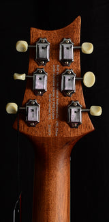 Paul Reed Smith SE Tonare P20 Vintage Mahogany