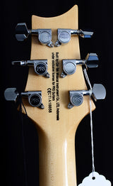 Paul Reed Smith SE Custom 24 Trampas Green-Electric Guitars-Brian's Guitars