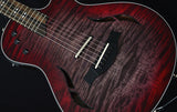 Taylor T5z Pro Grapevine Burst Road Show Limited-Brian's Guitars