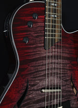 Taylor T5z Pro Grapevine Burst Road Show Limited-Brian's Guitars