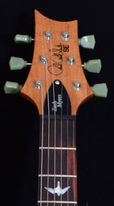 Paul Reed Smith Zach Meyers SE Semi Hollow Trampas Green-Brian's Guitars