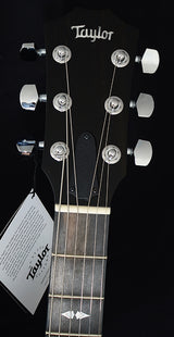 Taylor T5z Pro Grapevine Burst Road Show Limited-Brian's Guitars