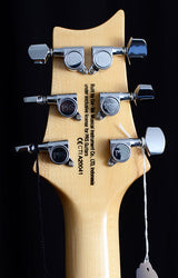 Paul Reed Smith SE Custom 24 Trampas Green-Electric Guitars-Brian's Guitars