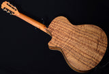 Taylor 712ce 12-Fret Figured Blackwood Road Show Limited-Brian's Guitars