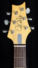 Paul Reed Smith Silver Sky John Mayer Signature Model Frost-Brian's Guitars