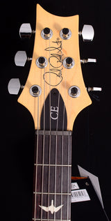Paul Reed Smith CE 24 Frost Green Metallic-Brian's Guitars