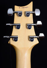 Paul Reed Smith CE 24 Frost Green Metallic-Brian's Guitars