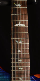 Paul Reed Smith Wood Library Artist Custom 24 Brian's Guitars 10th Anniversary Limited Laguna