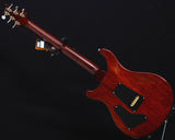 Paul Reed Smith Brushstroke 24 Limited Black Gold-Brian's Guitars