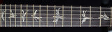 Paul Reed Smith Brushstroke 24 Limited Violet-Brian's Guitars