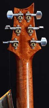 Paul Reed Smith Brushstroke 24 Limited Violet-Brian's Guitars