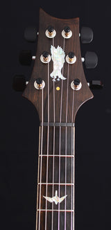 Paul Reed Smith Private Stock Custom 24 McCarty Thickness Northern Lights-Brian's Guitars