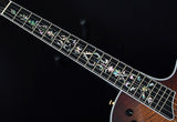 Taylor Custom T5z Koa Road Show Limited Edition-Brian's Guitars