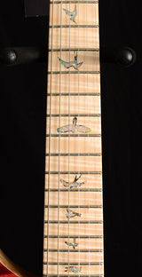 Paul Reed Smith Wood Library Artist Custom 24 Brian's Guitars 10th Anniversary Limited Zombie Fade