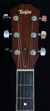 Used Taylor 414ce-Brian's Guitars