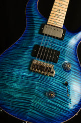 Paul Reed Smith Wood Library Artist Custom 24 Brian's Guitars 10th Anniversary Limited Laguna