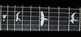 Paul Reed Smith Wood Library P24 Trem Brian's Limited Violet-Brian's Guitars