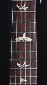 Paul Reed Smith Custom 24 Piezo Emerald-Brian's Guitars