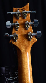 Paul Reed Smith Custom 24 Piezo Emerald-Brian's Guitars