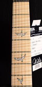 Paul Reed Smith Wood Library Artist Special Semi-Hollow Brian's Guitars 10th Anniversary Limited Beach Fade