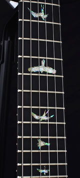 Used Paul Reed Smith Wood Library Custom 24 BrianÕs Limited Violet Smokeburst-Brian's Guitars