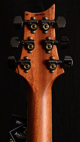 Paul Reed Smith Wood Library McCarty Singlecut 594 Satin Brian's Limited Charcoal-Brian's Guitars