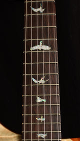 Paul Reed Smith Wood Library Artist Special Semi-Hollow Brian's Guitars 10th Anniversary Limited Iceberg Fade