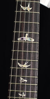 Paul Reed Smith Custom 24-08 Violet Blue Burst-Brian's Guitars