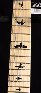 Paul Reed Smith DW CE 24 Floyd Dustie Waring Signature Black Top-Brian's Guitars