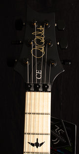 Paul Reed Smith DW CE 24 Floyd Dustie Waring Signature Black Top-Brian's Guitars