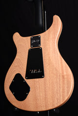 Paul Reed Smith DW CE 24 Floyd Dustie Waring Signature Black Top-Brian's Guitars