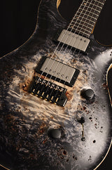 Paul Reed Smith Private Stock Custom 24 Frostbite Glow-Brian's Guitars