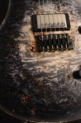 Paul Reed Smith Private Stock Custom 24 Frostbite Glow-Brian's Guitars