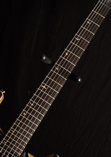 Paul Reed Smith Private Stock Custom 24 Frostbite Glow-Brian's Guitars