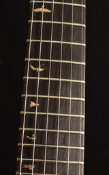 Paul Reed Smith Private Stock Custom 24 Frostbite Glow-Brian's Guitars