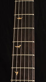 Paul Reed Smith Private Stock Custom 24 Frostbite Glow-Brian's Guitars