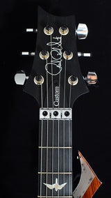 Paul Reed Smith Floyd Custom 24 Violet Burst-Brian's Guitars