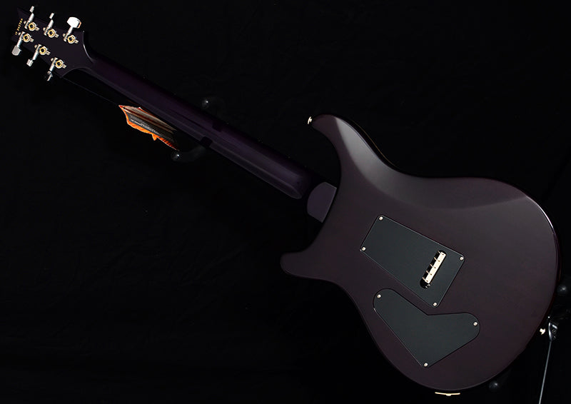 Paul Reed Smith Floyd Custom 24 Violet Burst-Brian's Guitars