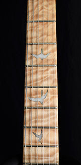 Paul Reed Smith Private Stock Custom 24 Glacier Bay