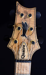 Used Paul Reed Smith Private Stock Modern Eagle Quatro Spalted Maple-Brian's Guitars