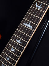 Paul Reed Smith Private Stock Custom 24 Floyd Frostbite Dragons Breath-Brian's Guitars