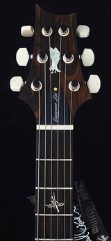 Paul Reed Smith Experience PRS 2018 Paul's Guitar Limited-Brian's Guitars