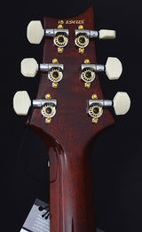 Paul Reed Smith Experience PRS 2018 Paul's Guitar Limited-Brian's Guitars