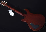 Paul Reed Smith Experience PRS 2018 Paul's Guitar Limited-Brian's Guitars