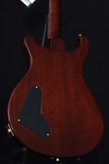 Paul Reed Smith Experience PRS 2018 Paul's Guitar Limited-Brian's Guitars