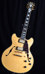 Used D'Angelico Excel DC Standard-Brian's Guitars